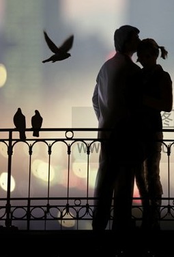 电视剧《祸福》