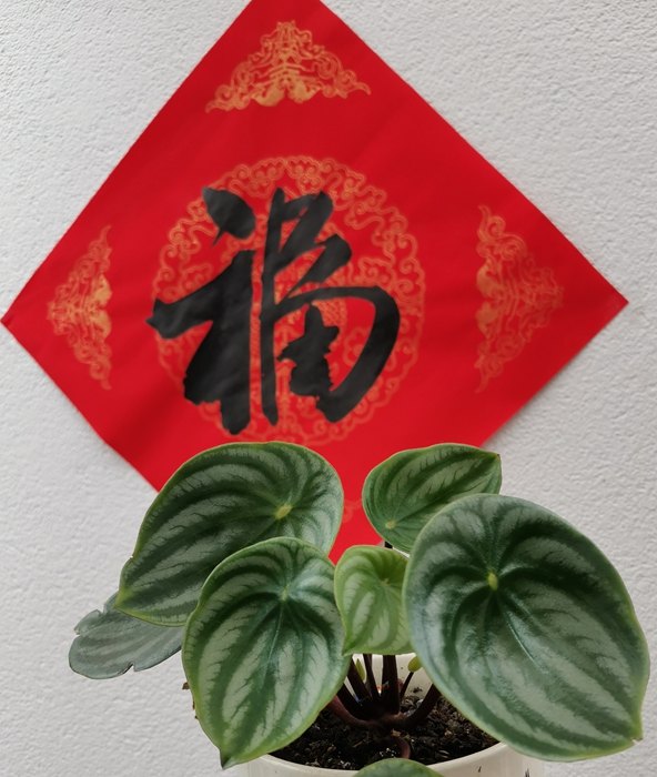 感悟生活