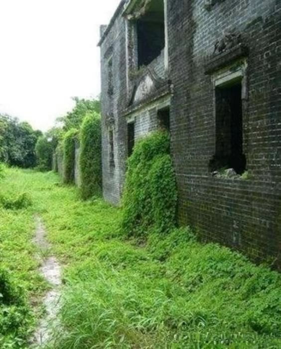 式微的上学路（三）：跌跌撞撞的平岗
