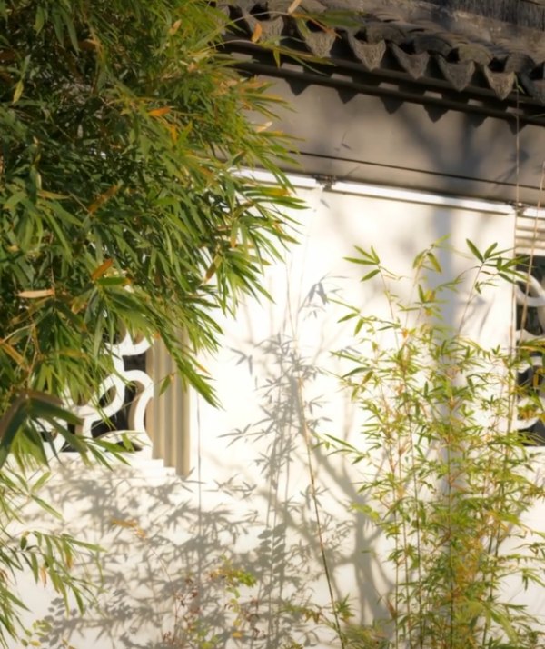 捡来的媳妇叫秀秀