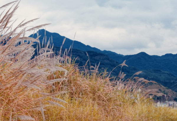在浑善达克沙地以北