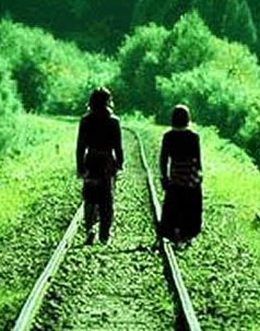 爱上不该爱的人（长篇小说大接龙, 小说组）