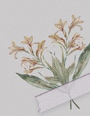 朱多锦先生二三事